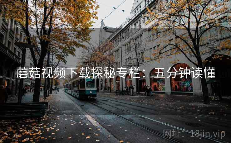 蘑菇视频下载探秘专栏：五分钟读懂