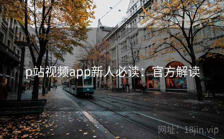 p站视频app新人必读：官方解读