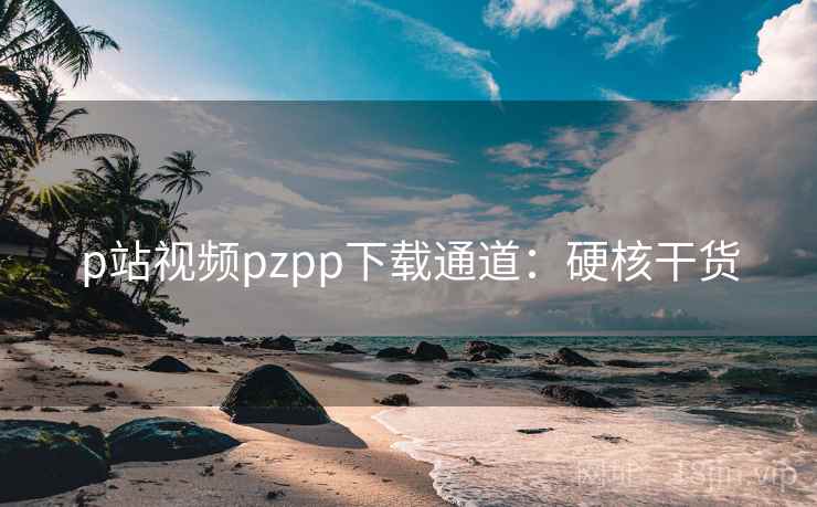 p站视频pzpp下载通道：硬核干货