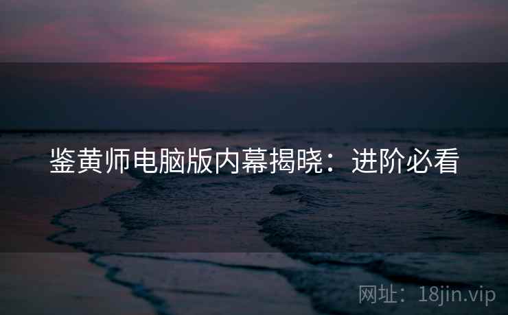 鉴黄师电脑版内幕揭晓：进阶必看