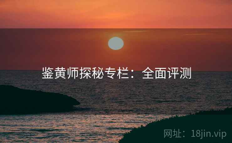 鉴黄师探秘专栏：全面评测