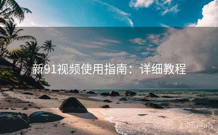 新91视频使用指南：详细教程